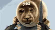 Seal Cry Yes GIF - Seal Cry Yes Counter Strike GIFs
