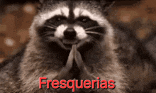 a raccoon with the word fresquerias in red