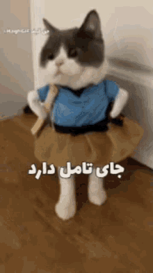 Taamol Gorbe GIF - Taamol Gorbe Cat GIFs