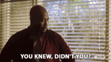 You Knew Didnt You Db Woodside GIF - You Knew Didnt You Db Woodside Amenadiel GIFs