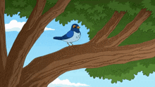 Bird Talking Bird GIF - Bird Talking Bird Family Guy GIFs
