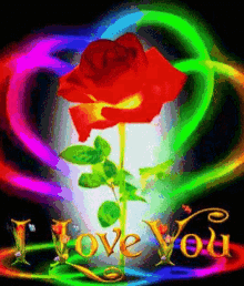 I Love You Flower GIF - I Love You Flower Rose GIFs