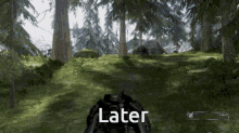 a video game with the word later on the bottom right