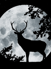 a deer standing in front of a full moon