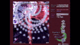 a screen shot of a video game with the words perfect cherry blossom