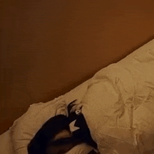 a woman is sleeping in a bed with a white blanket