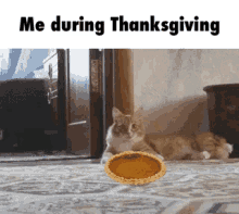 Me During Thanksgiving Pie GIF - Me During Thanksgiving Pie GIFs