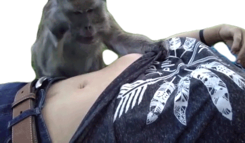 Monkey Stomach Sticker - Monkey Stomach Playing Stickers