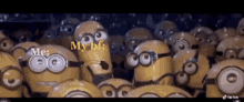 a bunch of minions are standing next to each other and one of them says `` me : my bf : ''