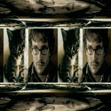 a man with glasses and a cat behind him in a collage