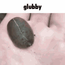 Glubby Snail GIF
