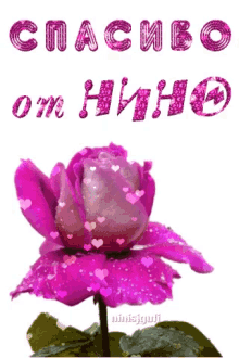 a purple flower is surrounded by hearts and the words спасибо on it