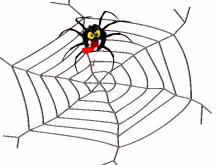 spider web halloween scary bite