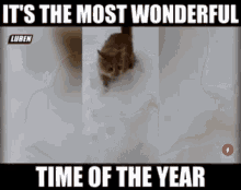 Most Wonderful Time Of The Year Xmas Jokes GIF