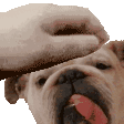 Elli Koira Sticker - Elli Koira Dog Stickers