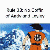 Rule Rule 33 GIF - Rule Rule 33 Goku GIFs