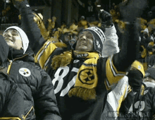Pittsburgh Steelers Steelers GIF - Pittsburgh Steelers Steelers Fan GIFs