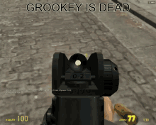 Grookey Is Dead Shoot GIF