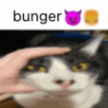 Bunger Cat GIF - Bunger Cat Devil Emoji GIFs