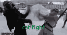Cat Fight GIF - Cat Fight GIFs