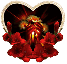 rose red rose flower heart candle