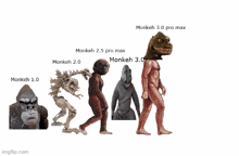a picture of the evolution of monkeys from monkeh 1.0