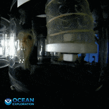 an ocean exploration poster with a picture of a squid