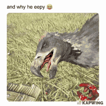 why he eepy and why he eepy ark ark survival evolved argentavis