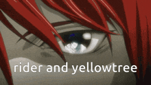 a close up of a person 's eye and the words rider and yellowtree