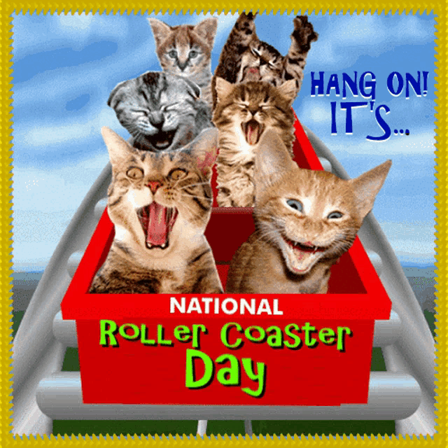 National Roller Coaster Day, Blog