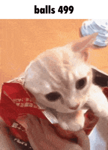 a white cat is eating a bag of chips with the words balls 499 above it