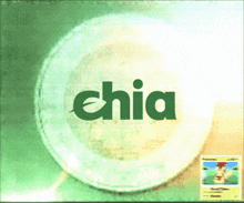 the word chia is on a green and white background