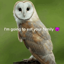 an owl with the words i 'm going to eat your family written below it