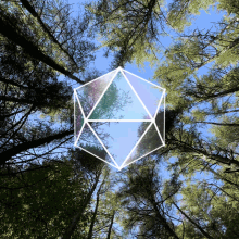 Forest 3d GIF - Forest 3d GIFs