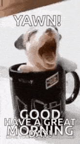 a puppy is yawning in a coffee mug and saying `` yawn ! good have a great morning '' .