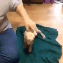 a person is playing with a cat on a green towel on the floor .