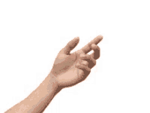 Hand Butterfly GIF