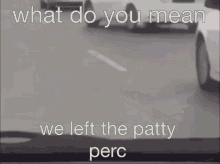Patty Perc GIF - Patty Perc Spongebob GIFs