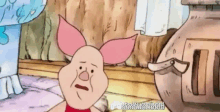 Stare Pig GIF - Stare Pig GIFs