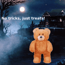 teddy bears teddy bear memes halloween teddy bears