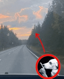 a picture of a dog giving the middle finger while driving down a highway
