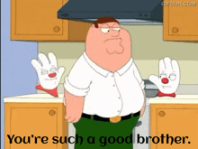 Family Guy Hamburger Helper GIF - Family Guy Hamburger Helper You'Re Such A Good Brother GIFs