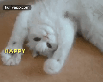 Cat Sing Happy Birthday GIFs | Tenor Cat Sing Happy Birthday GIFs | Tenor