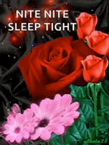 N Ite Nite Sleep Tight GIF - N Ite Nite Sleep Tight Roses GIFs