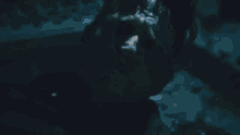 Venom Let There Be Carnage By Nishesh GIF - Venom Let There Be Carnage By Nishesh GIFs