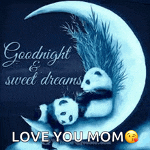 two panda bears are sleeping on a crescent moon with the words goodnight sweet dreams love you mom