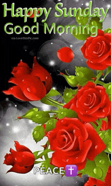 a bunch of red roses with the words happy sunday good morning