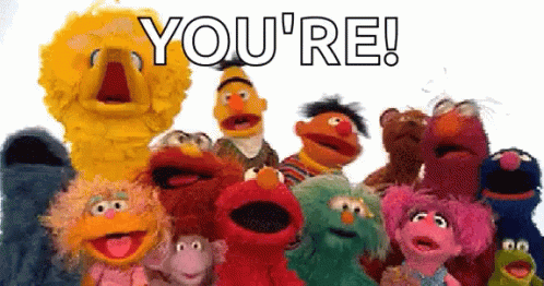 Youre Sesame Street GIF - Youre Your Sesame Street GIFs