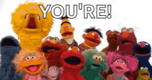 Youre Sesame Street GIF - Youre Your Sesame Street GIFs