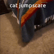 Cat Jumpscare GIF - Cat Jumpscare Spooky GIFs